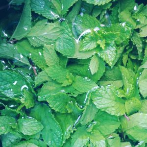 20180717_mint