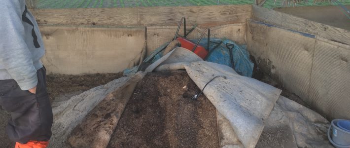 改良畜フン堆肥を仕込む